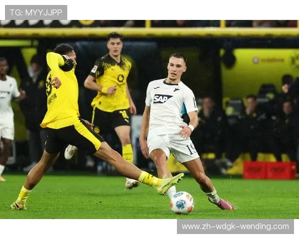 德甲推荐关注的多特蒙德相关球队