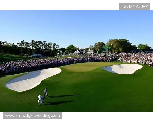 高尔夫世界排名舍夫勒扩大对小麦领先麦金泰尔排名显著上升